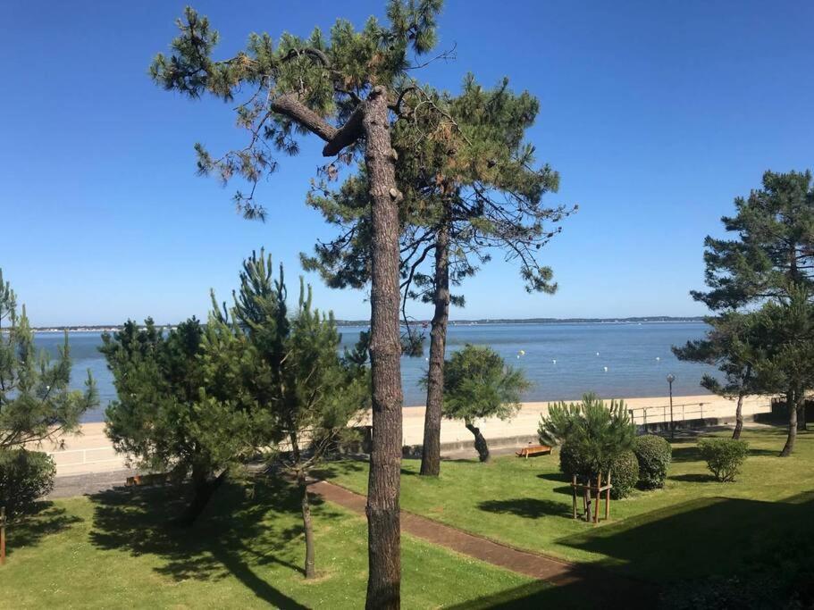 Studio Idealement Situe Arcachon Ngoại thất bức ảnh